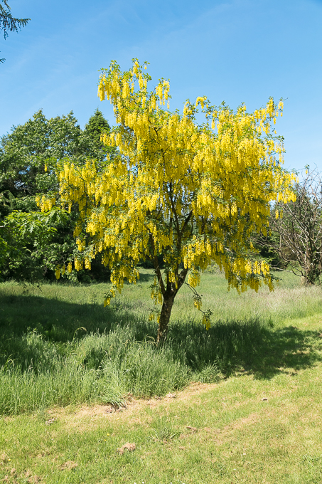 Kennedy Park Jun 2018 (035)